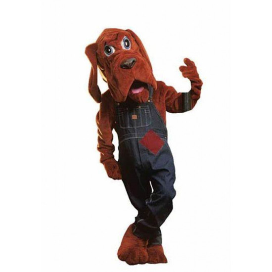 Bloodhound Dog With Clothes Mascot Costume 139 