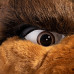 Grizzly Bear Mascot Costume 606 Grizzly Bear Mascot Costume 606
