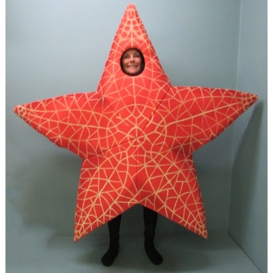 Starfish Mascot Costume FC204