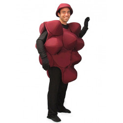 Red Grapes Mascot Costume PP73-Z Red Grapes Mascot Costume PP73-Z