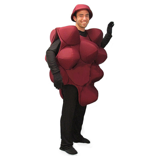 Red Grapes Mascot Costume PP73-Z 