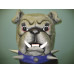 Bulldog with Spiked Collar Mascot Costume MM16-Z 