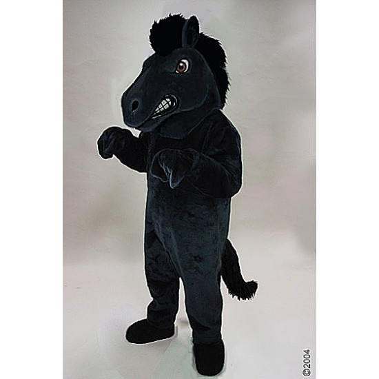 Fierce Black Stallion Horse 47171