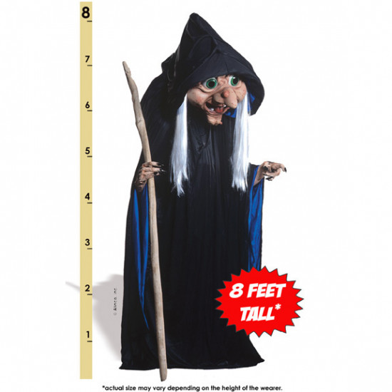 Rosey Witch Mascot Costume 181