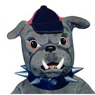 Bulldog, Husky & Other Dog Mascot Costumes Bulldog, Husky & Other Dog Mascot Costumes