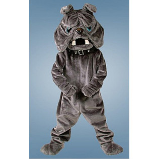 Bulldog Mascot Costume 15 
