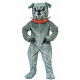Bulldog Mascot Costume MM16-Z 