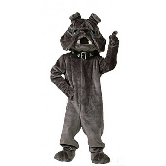 Bulldog Mascot Costume 15 