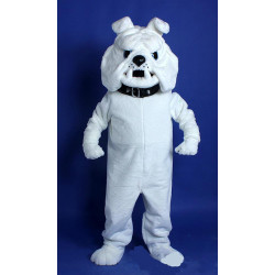 Bulldog Mascot Costume 15  Bulldog Mascot Costume 15