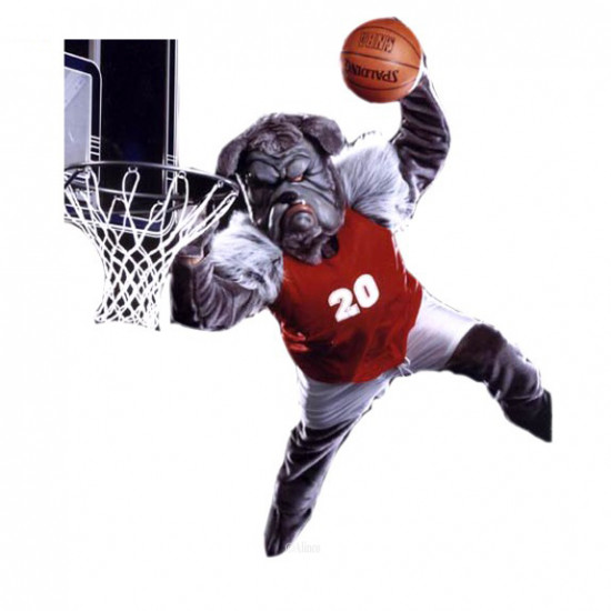 Pro Bulldog Mascot Costume 330 