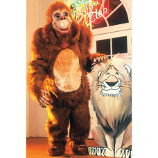 Orangutan Monkey Mascot Costume 82 