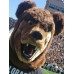 Grizzly Bear Mascot Costume 606 Grizzly Bear Mascot Costume 606