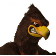 Hawks & Other Bird Mascot Costumes Hawks & Other Bird Mascot Costumes