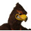 Hawks & Other Bird Mascot Costumes