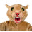 Cougars