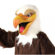 Eagles Eagles
