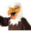 Eagles