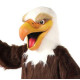 Eagles Eagles