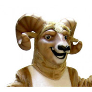 High School Mascot Costumes High School Mascot Costumes