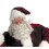 Holiday Mascot Costumes