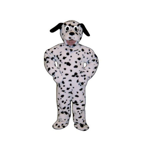 CH10-Z Dalmation