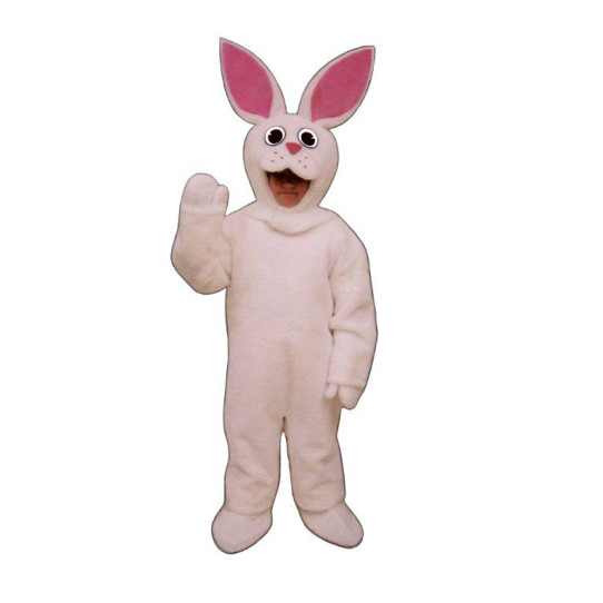CH15-Z-Bunny