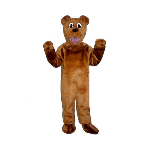 CH16-Z Bear