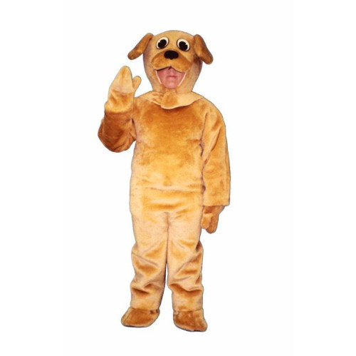 CH22-Z Puppy