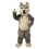 Husky Mascot Costumes
