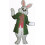 Rabbit Mascot Costumes