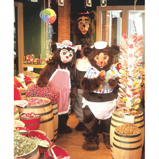 Papa Bear Mascot Costume 59C 