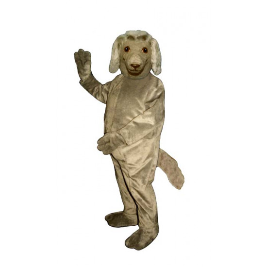 Afghan Dog Mascot Costume 814-Z 