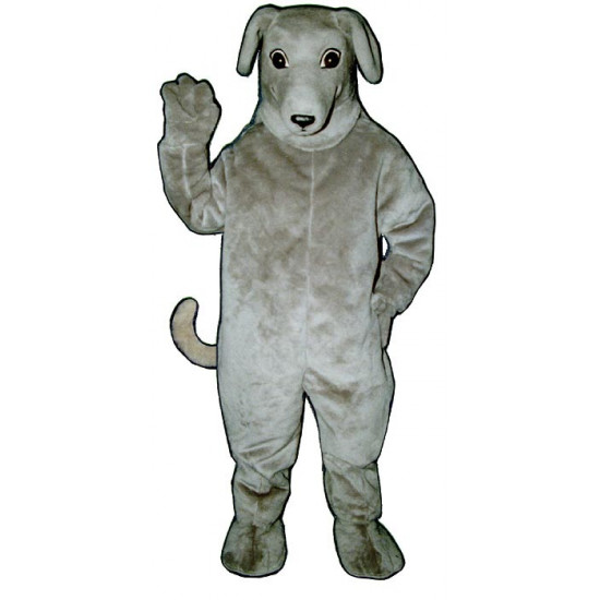 Greyhound Mascot Costume 814G-Z