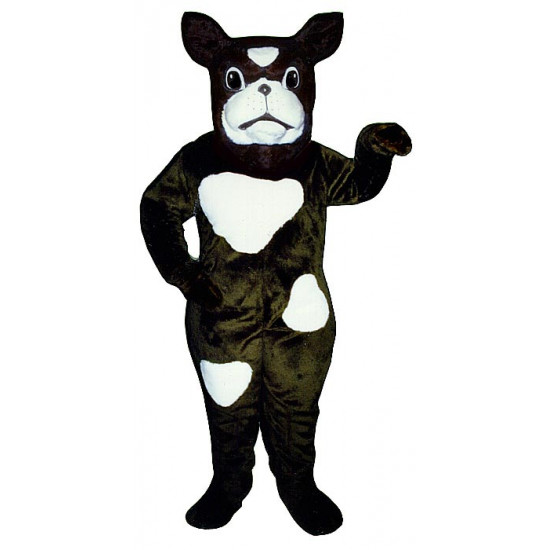 Boxer Mascot Costume 817-Z 