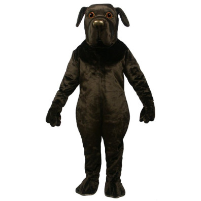 Newfoundland Dog Mascot Costume 892-Z 