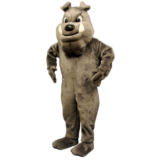 Buster Bulldog Mascot Costume 894-Z 