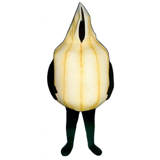 Onion (Bodysuit not included) Mascot Costume FC006-Z 