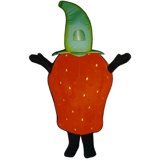 Strawberry (Bodysuit not included) Mascot Costume FC029-Z 