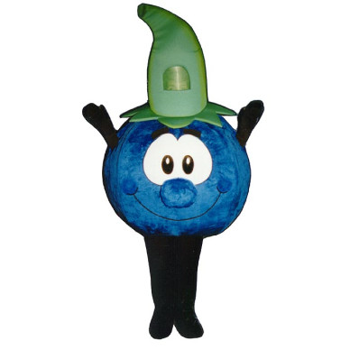 Bobbie Blueberry (Bodysuit not included) Mascot Costume FC031-Z 