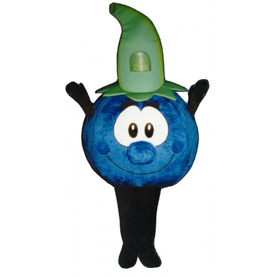 Bobbie Blueberry (Bodysuit not included) Mascot Costume FC031-Z 