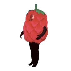 Fresh Raspberry (Bodysuit not included) Mascot Costume FC092-Z