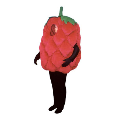 Fresh Raspberry (Bodysuit not included) Mascot Costume FC092-Z