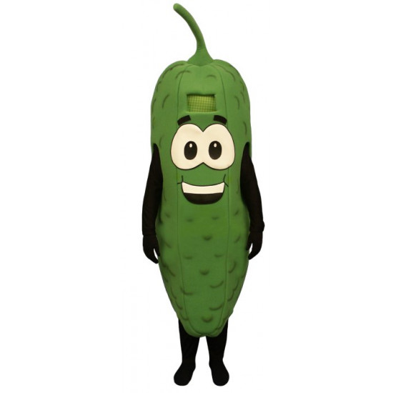 Pickle w/Stem (Bodysuit not included) Mascot Costume FC122-Z 
