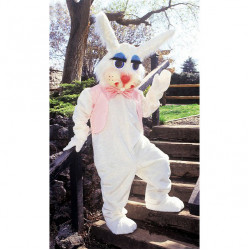 Peter Rabbit Costume Mascot Costume 100 Peter Rabbit Costume Mascot Costume 100