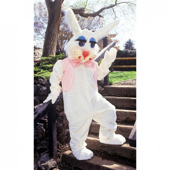 Peter Rabbit Costume  Mascot Costume  100 
