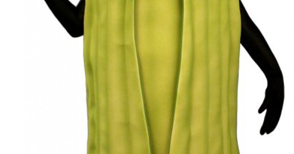 celery-suit-mascot-costume-bodysuit-not-included-pfc16-z