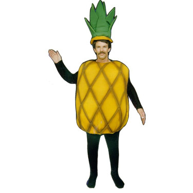 Pineapple Mascot Costume (Bodysuit not included) PP23-Z 